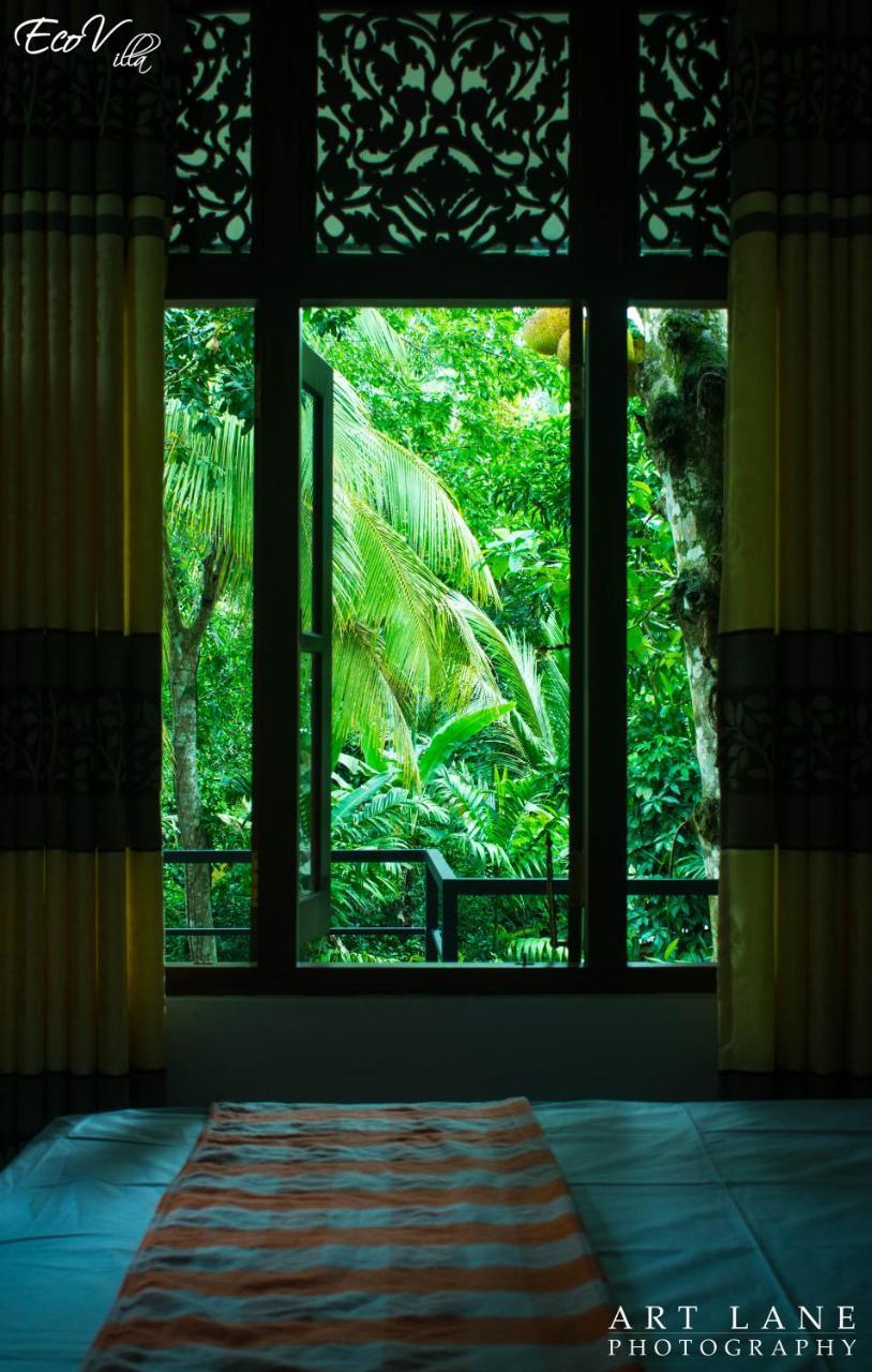 Eco Villa - Sinharaja デニヤヤ エクステリア 写真