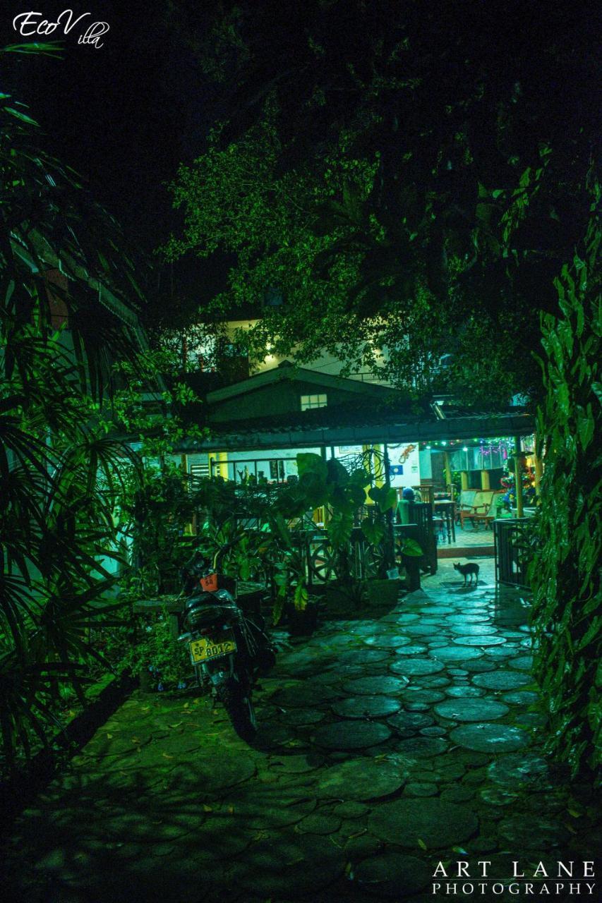 Eco Villa - Sinharaja デニヤヤ エクステリア 写真